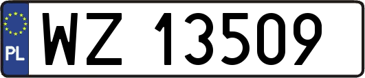 WZ13509