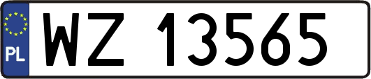 WZ13565