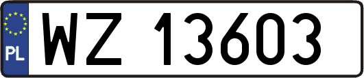WZ13603