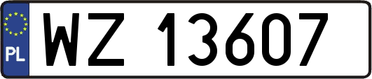 WZ13607