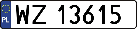 WZ13615