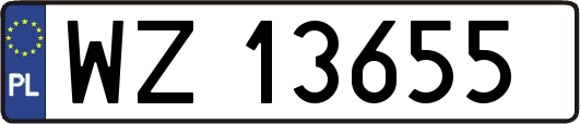 WZ13655