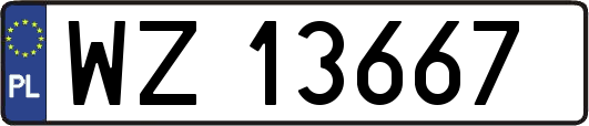 WZ13667