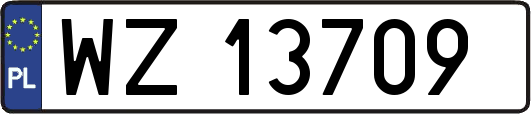 WZ13709