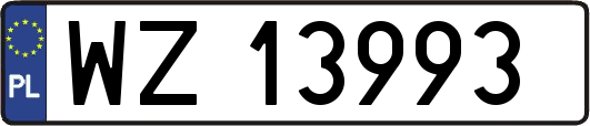WZ13993