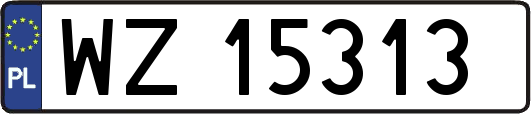 WZ15313