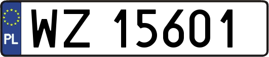WZ15601
