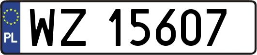 WZ15607