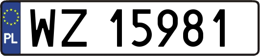 WZ15981
