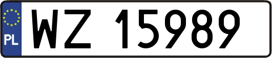 WZ15989
