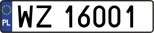 WZ16001