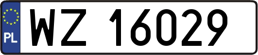 WZ16029