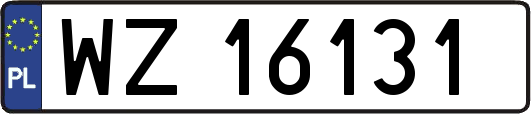 WZ16131