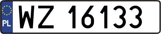 WZ16133