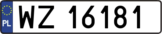 WZ16181