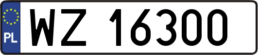 WZ16300