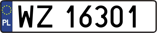 WZ16301