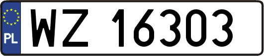 WZ16303