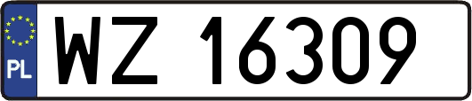 WZ16309