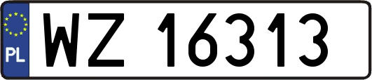 WZ16313
