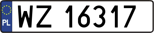 WZ16317