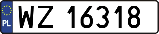 WZ16318