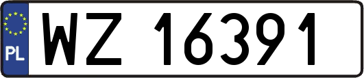 WZ16391