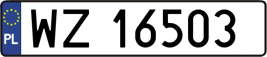 WZ16503