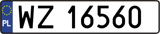 WZ16560