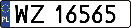 WZ16565