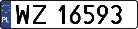 WZ16593