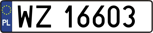 WZ16603