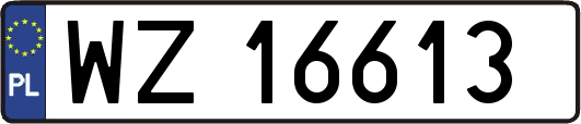 WZ16613