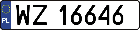 WZ16646