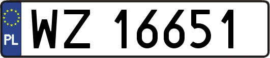 WZ16651