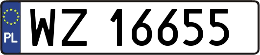 WZ16655