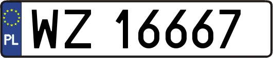 WZ16667