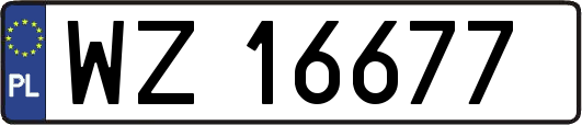 WZ16677
