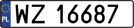 WZ16687