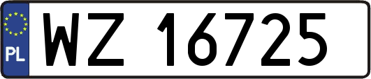 WZ16725