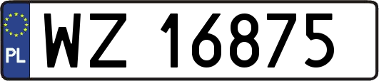 WZ16875