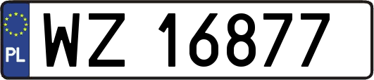 WZ16877