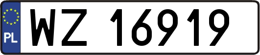 WZ16919