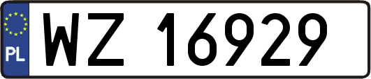 WZ16929