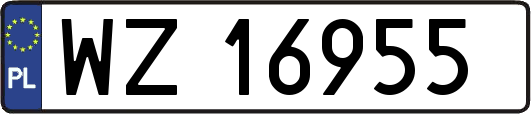 WZ16955