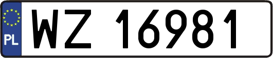 WZ16981