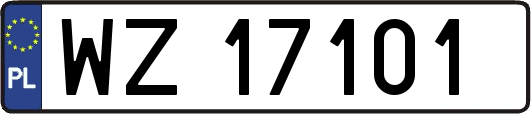 WZ17101