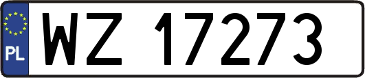 WZ17273