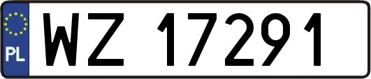 WZ17291