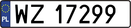 WZ17299